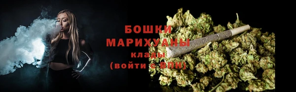 ECSTASY Белокуриха